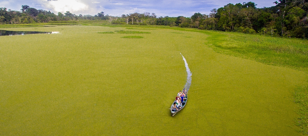 Desarrollo de capacidades