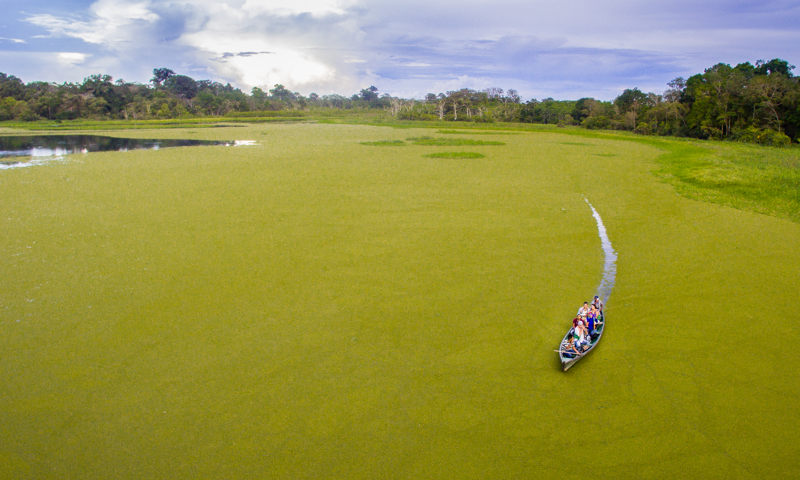 Ecoturismo por el rió Amazonas en lancha