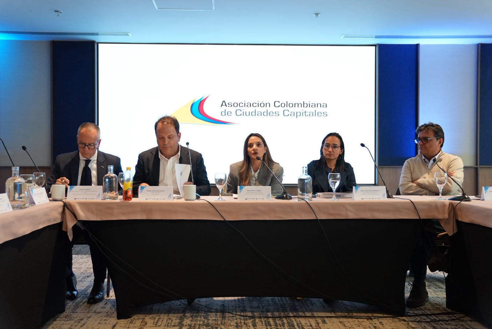 Reunión técnica de alto nivel - Estado del sistema de salud en las ciudades capitales