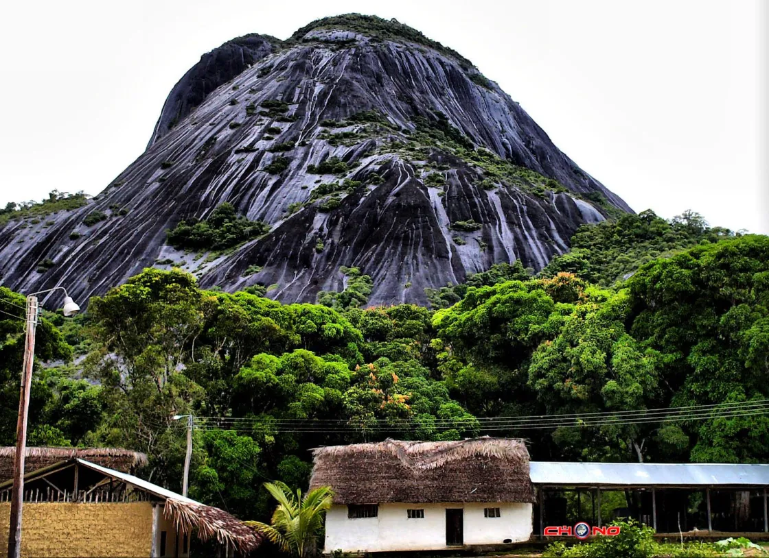 Naturaleza Inírida