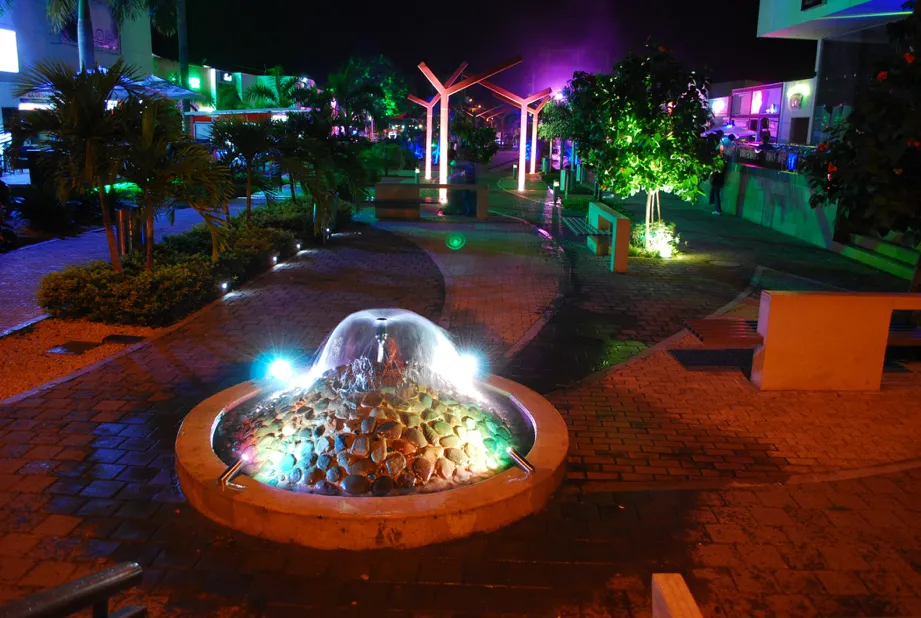 Montería de noche