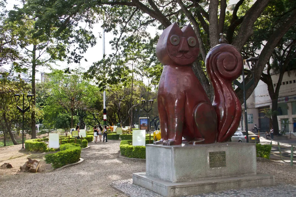 El Gato del Río Cali