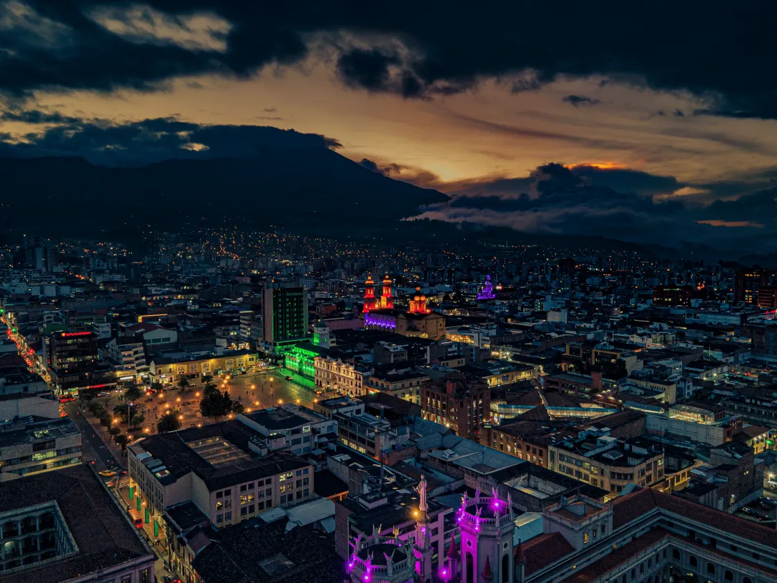 Pasto de noche