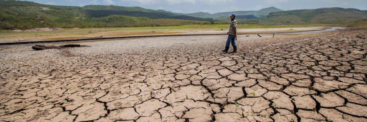 El Fenómeno de El Niño ya es una realidad en el Pacífico Tropical