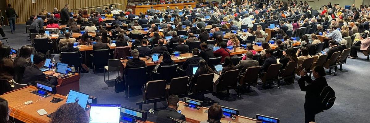 Foro de Examen de la Migración Internacional (FEMI) 2026