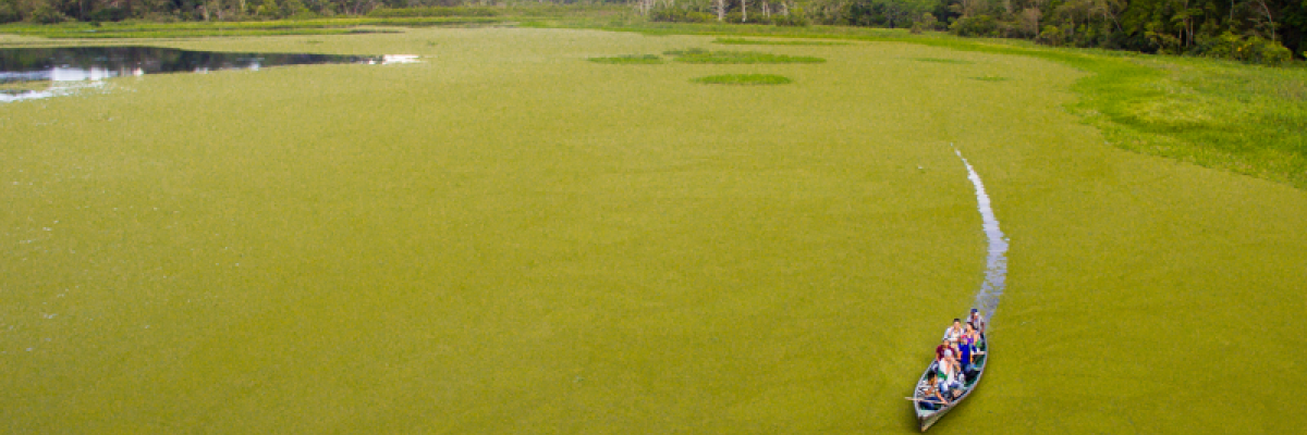 Ecoturismo por el rió Amazonas en lancha