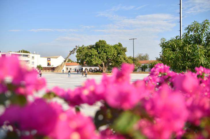 Palza central Valledupar