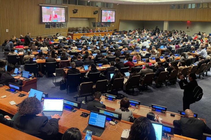 Foro de Examen de la Migración Internacional (FEMI) 2026