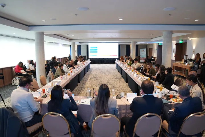 ESTADO DEL SISTEMA DE SALUD EN LAS CIUDADES CAPITALES – REUNIÓN TECNICA DE ALTO NIVEL
