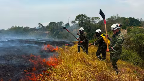Imagen de un incendio en el Tolima