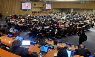 Foro de Examen de la Migración Internacional (FEMI) 2026