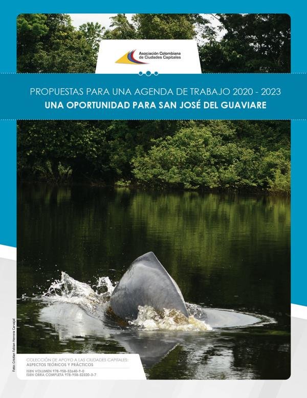 Propuestas para una agenda de trabajo 2020 - 2023 una oportunidad para San José del Guaviare