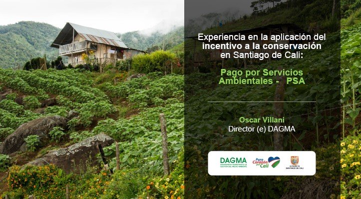 CALI_DAGMA_PRESENTACION PSA WEBINAR