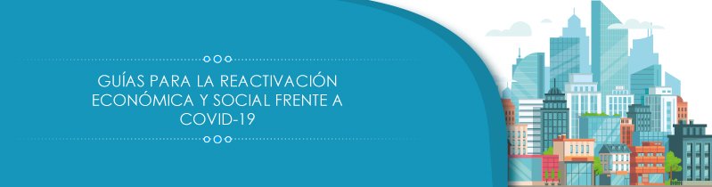 Guías específicas de reactivación económica y social frente al Covid-19, en las ciudades capitales