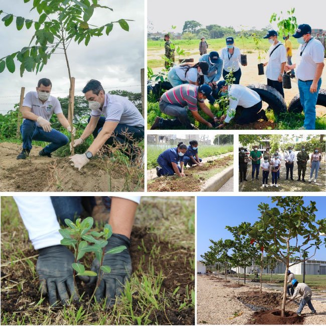 Ciudades capitales implementan acciones por la sostenibilidad, en el marco del Día de la Tierra