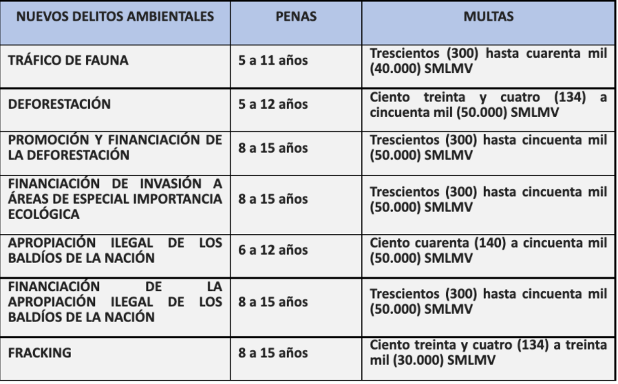 Ley de Delitos Ambientales fue sancionada por el Gobierno Nacional