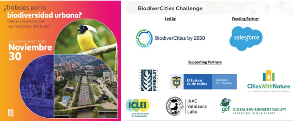 El Instituto Alexander von Humboldt invita a sumarse a las iniciativas de biodiversidad urbana y a participar en el Reto Uplink de BiodiverCiudades