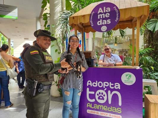 Con éxito finalizó el primer día de la jornada de sanidad y adopción animal en Montería