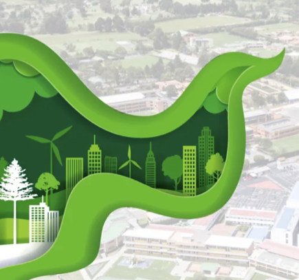 13_ciudades_biodiverciudades
