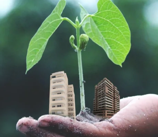 dialogo_dimension_ambiental