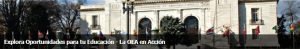 Becas OEA