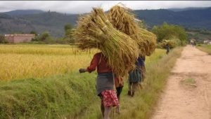 Financial Support for Civil Society Initiatives to Prevent Torture and Ill-Treatment