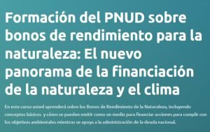 Formacion del PNUD sobre bonos de rendimiento para la naturaleza